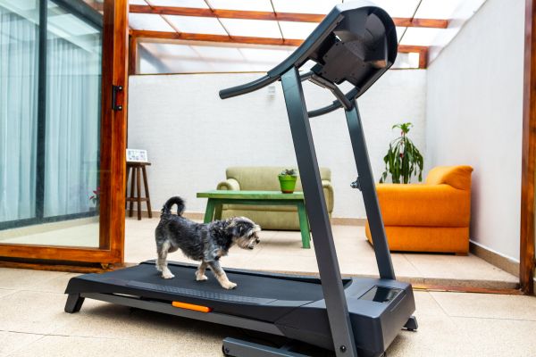 Treadmill Installation in Statesville