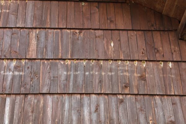 Woodpecker Hole Filling in Statesville