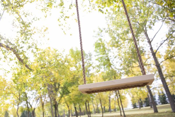 Tree Swing Installation in Statesville