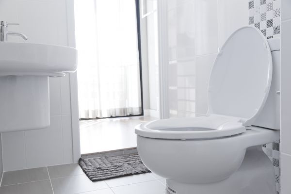 Toilet Seat Installation in Statesville