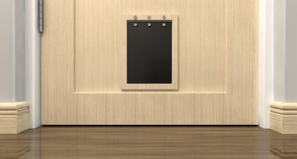 Dog Door Repair in Statesville