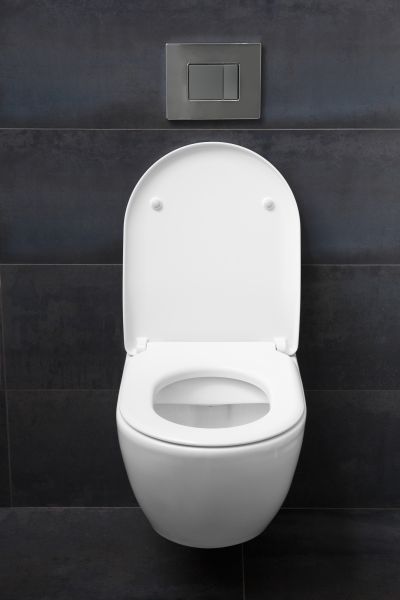 Toilet Lid Installation in Statesville