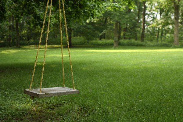 Rope Swing Installation in Statesville