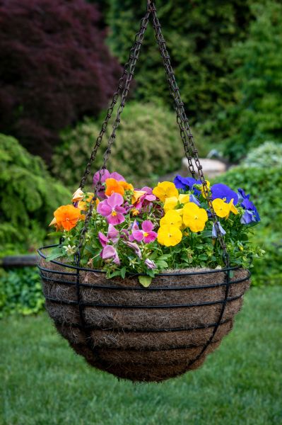 Hanging Basket Installation in Statesville