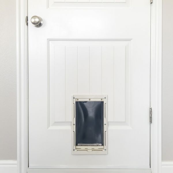 Pet Door Repair in Statesville