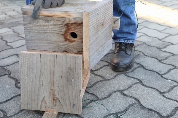 Birdhouse Mounting in Statesville