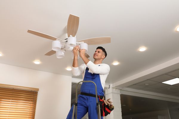 Ceiling Fan Bulb Replacement in Statesville
